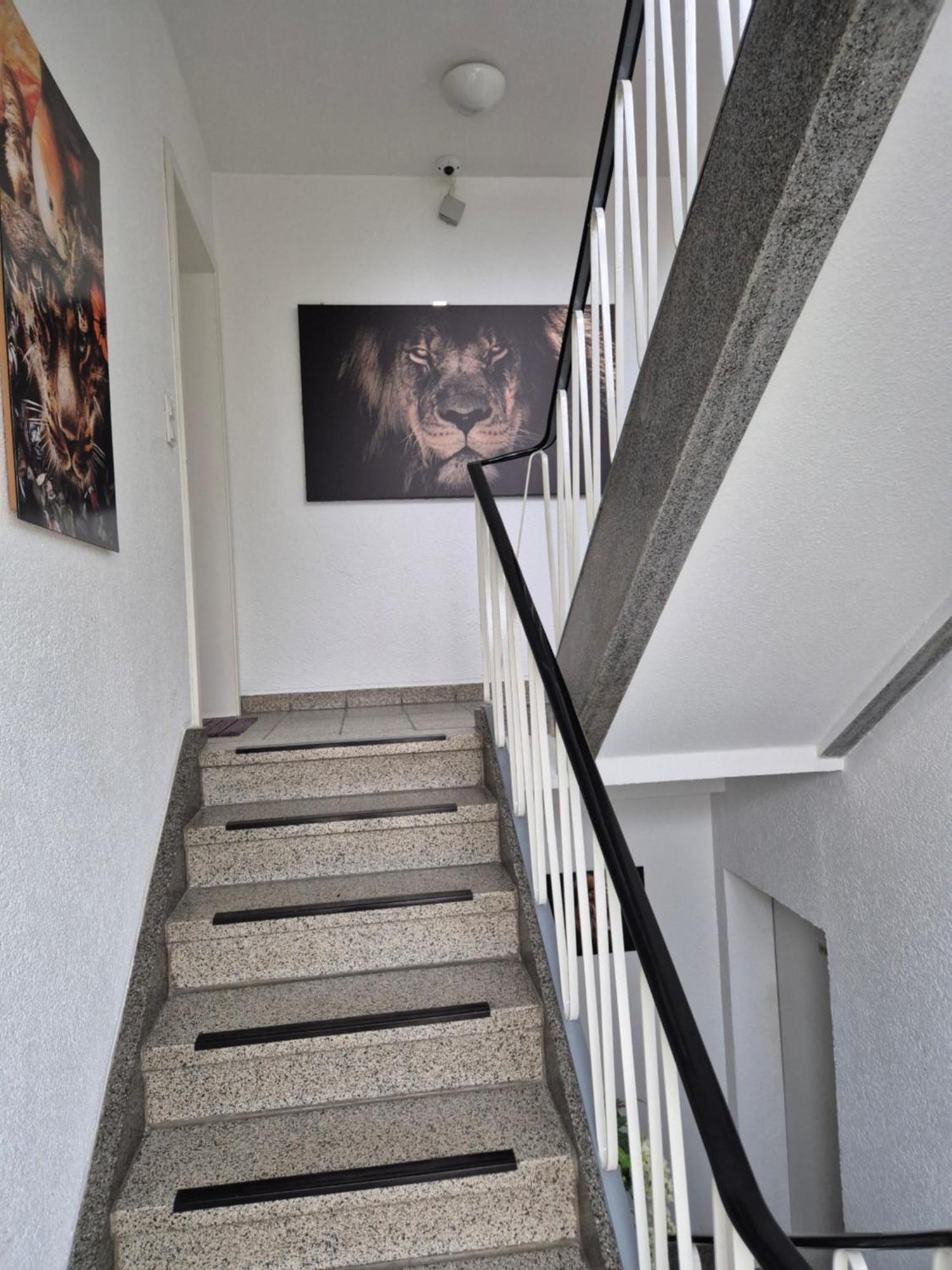 Ferienwohnungen Waldina Siegen Exterior foto